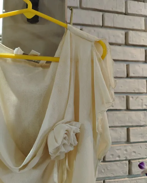 Blusa