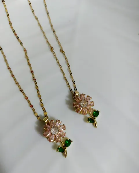 Collares de Acero Inoxidable
