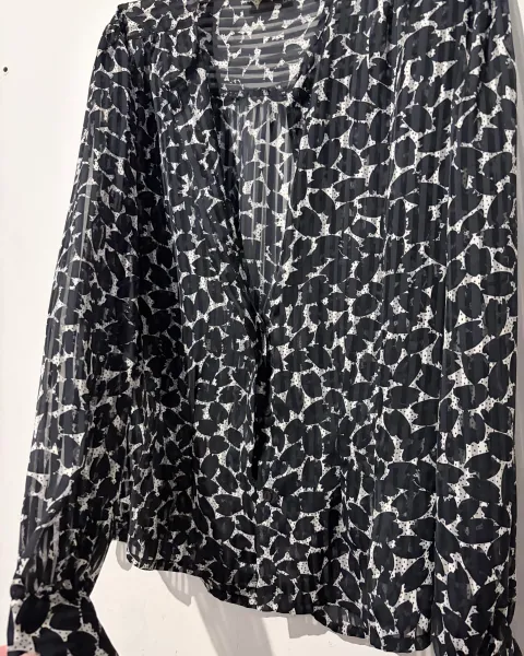 Camisa transparente