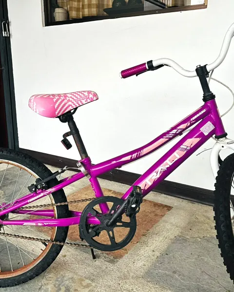 Bicicleta estilo BMX para niñas/jóvenes