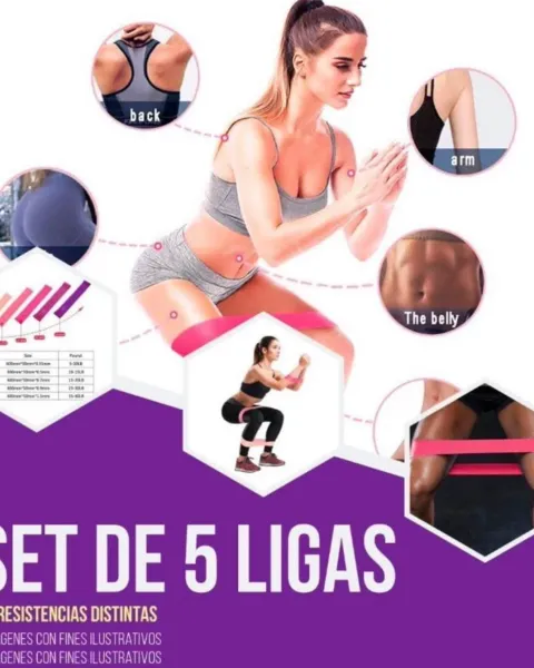 Ligas elásticas de látex - Set de 5