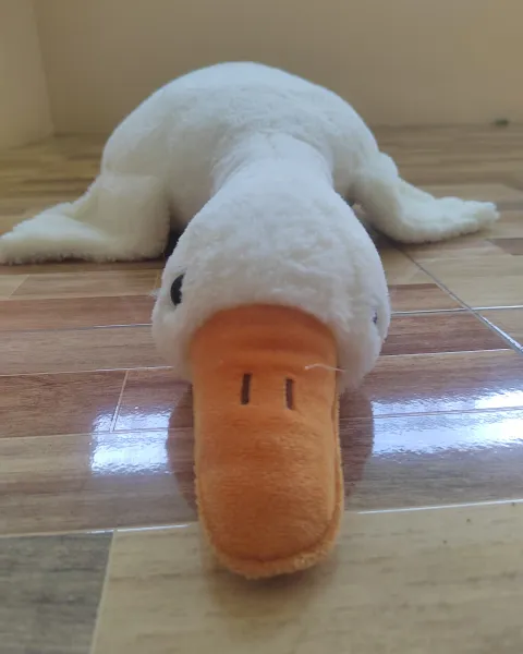Peluche de ganso
