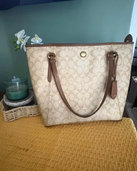 Bolso