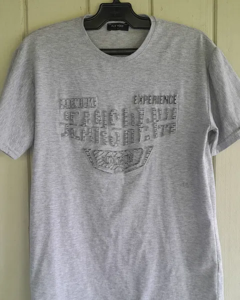 Camisa sencilla gris