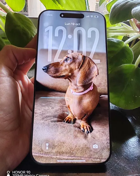 iPhone 16 Pro max 256 GB
